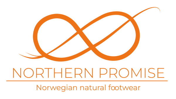 Northern Promise